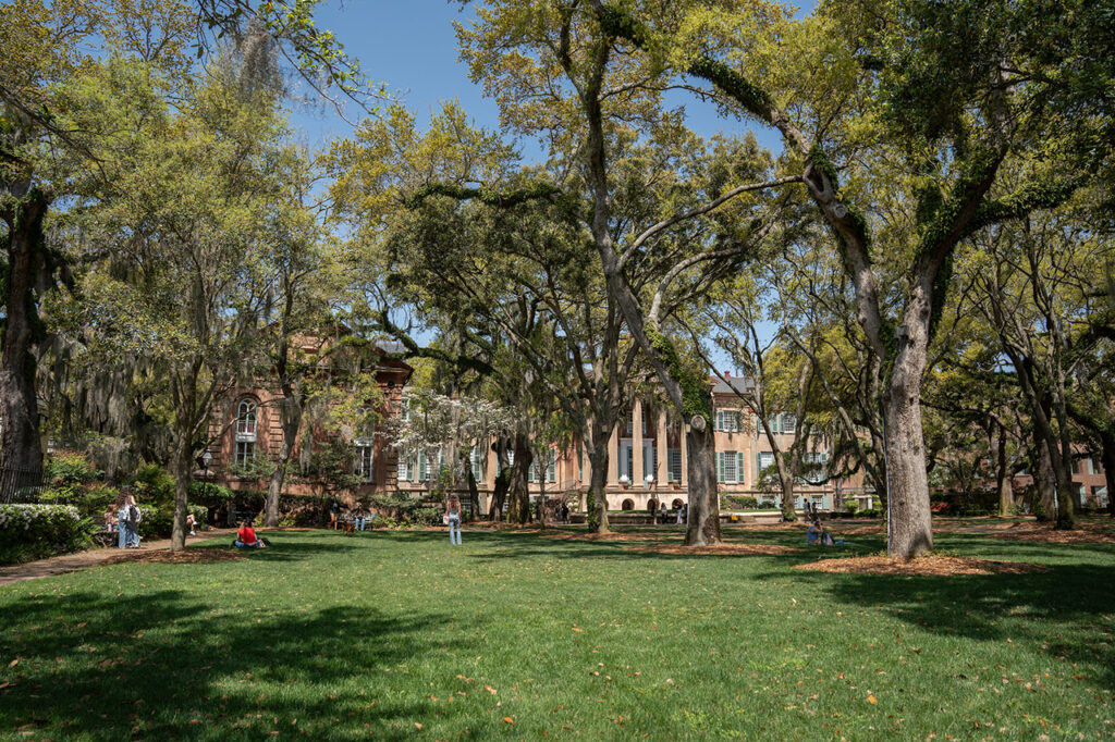 Students on the lawn at College of Charleston