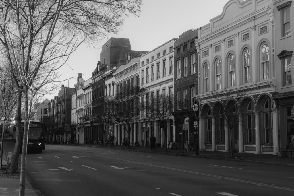 Black and White Charleston with trees